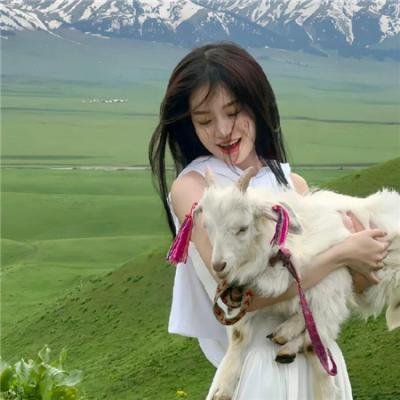 爱情是狗娘